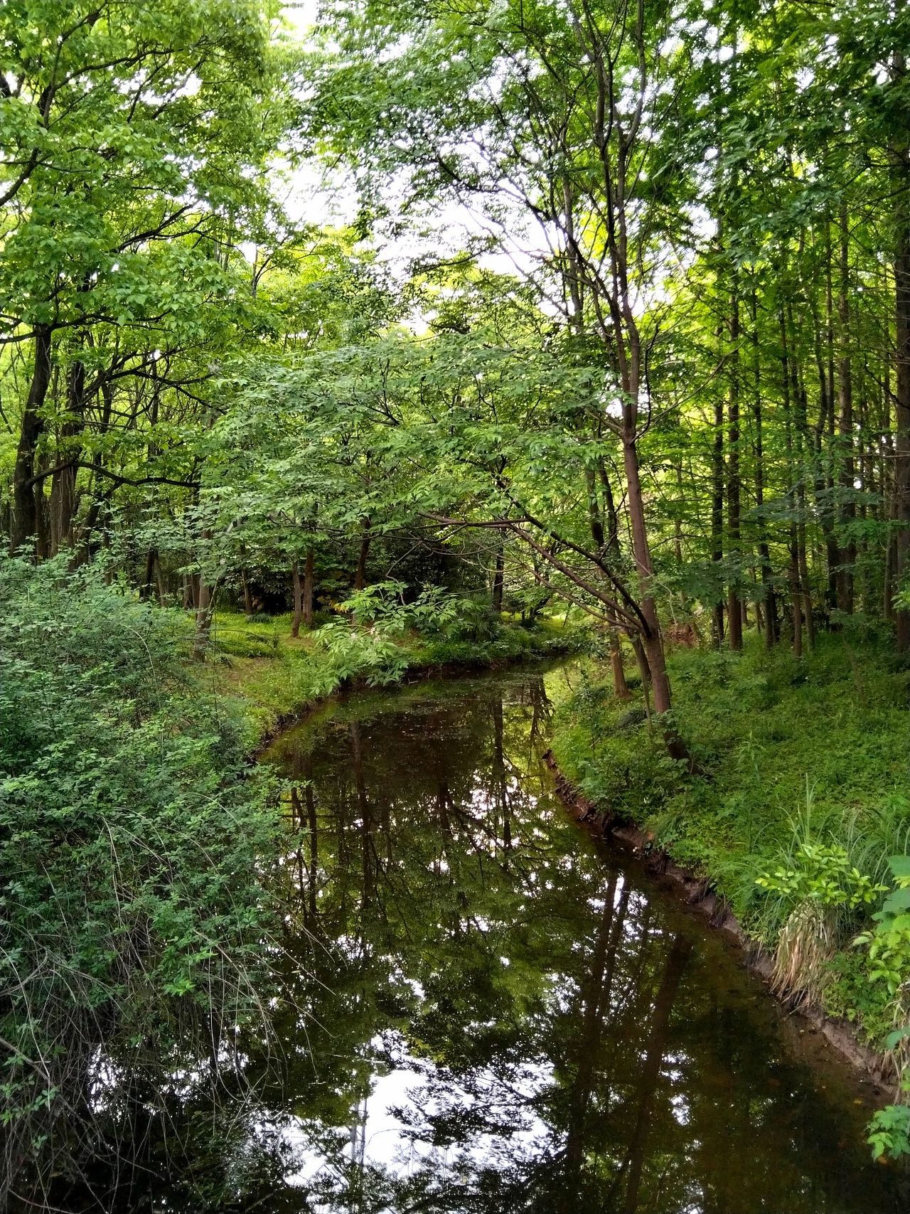 宝山.丰翔智秀公园
