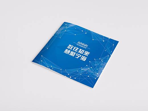 宁海大数据画册（个人主页-ZMjkwNzYwOTY=） - 书籍/画册 - 站酷设计师泽振原创素材 - 站酷ZCOOL