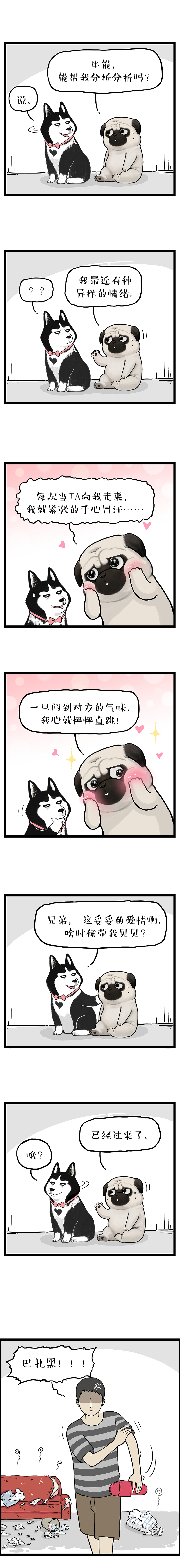 这比迷宫还要“迷”的套路，终究让我迷了路（图ZMjYyMTgzMjI4） - 中/长篇漫画 - 站酷设计师吾皇的白茶原创素材 - 站酷ZCOOL