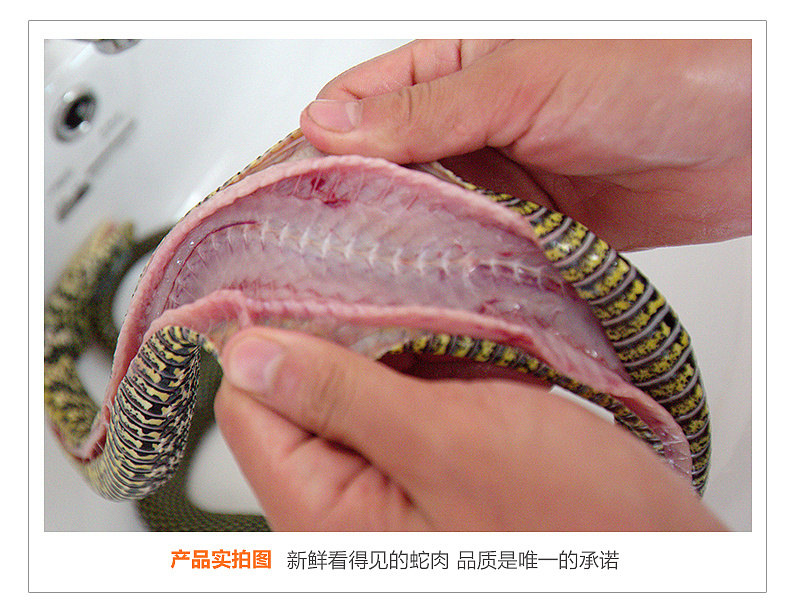 淘宝网店代装修宝贝描述详情页首页设计定制模版海报车图设计|摄影|其