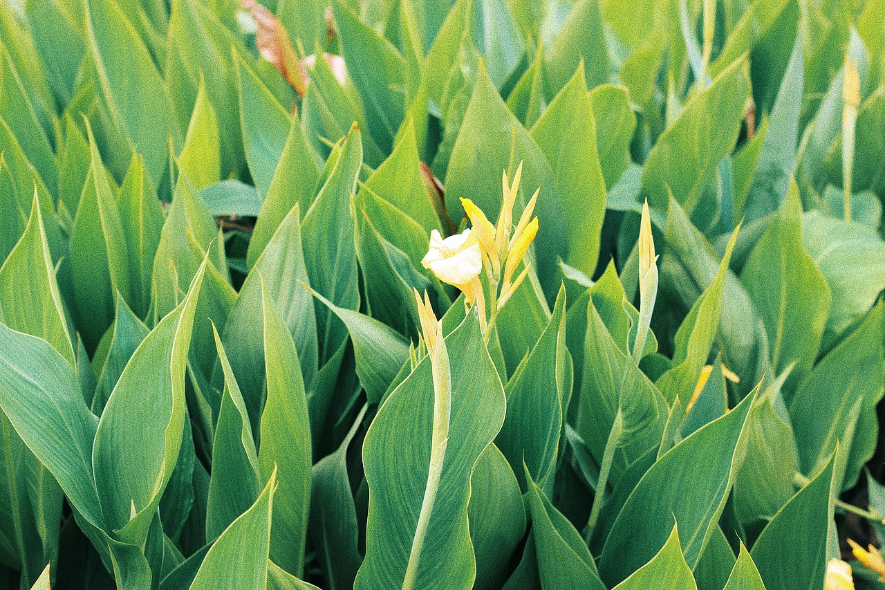 【2020】摄影总结