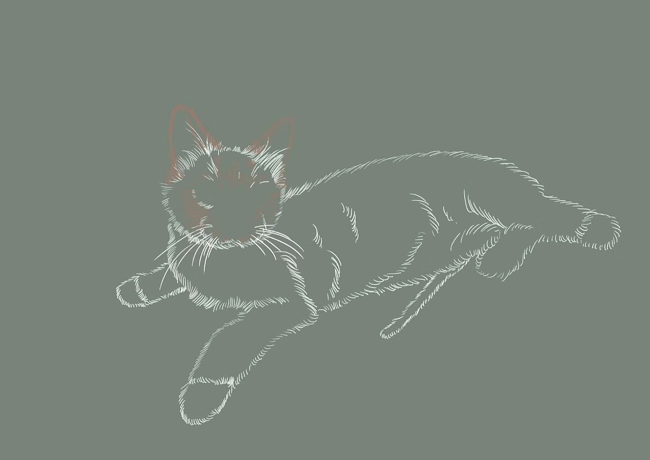 分享最近画的喵哦