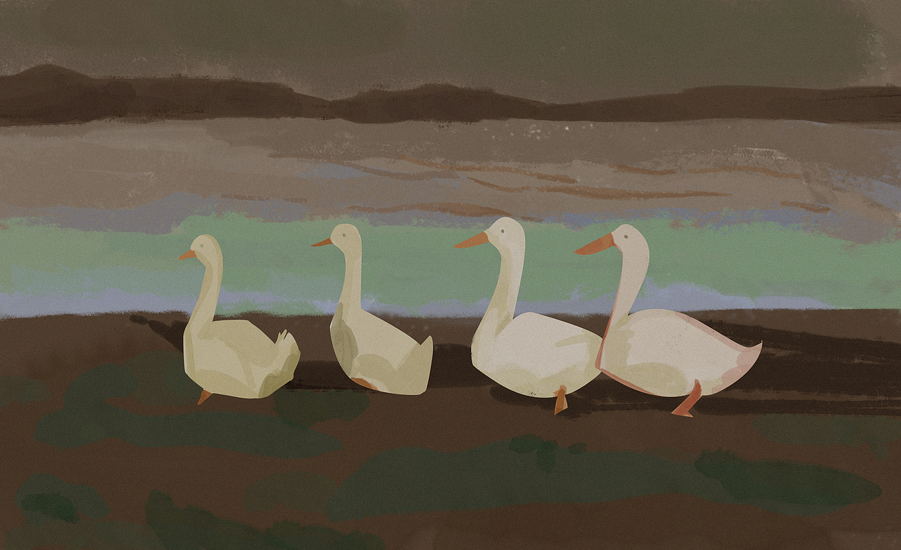 色彩60天打卡练习