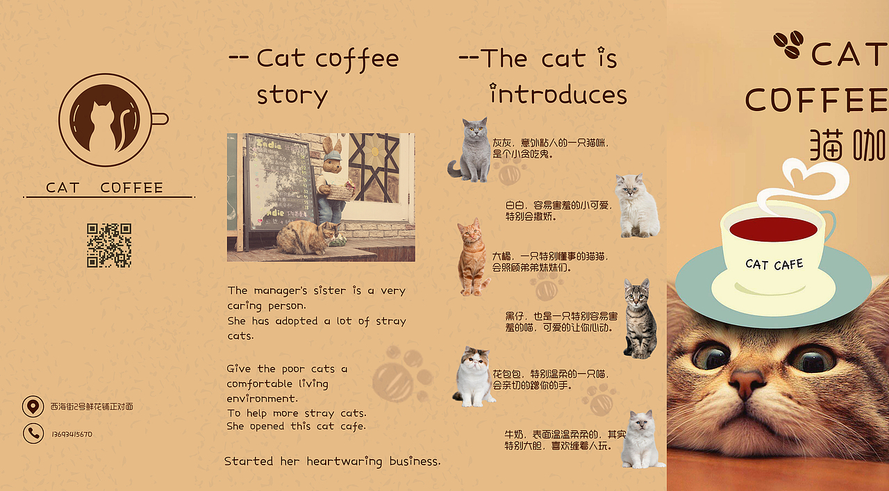 猫咖宣传册的正面