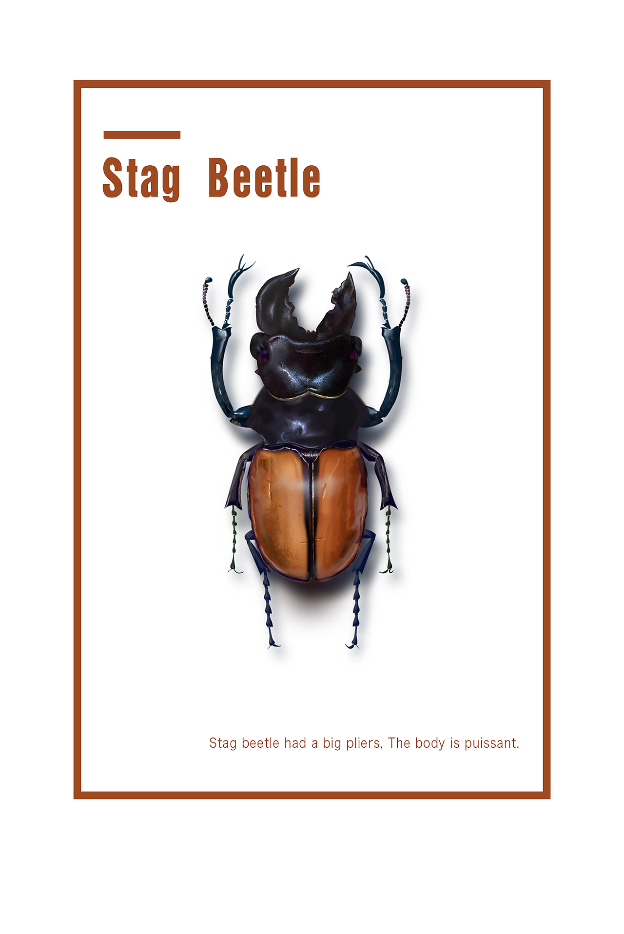 昆虫标本（图ZNjQwODUwNTI=） - 交互/UE - 站酷设计师炒粉不加冰原创素材 - 站酷ZCOOL