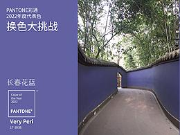 長(zhǎng)春花藍(lán)——武侯祠的墻