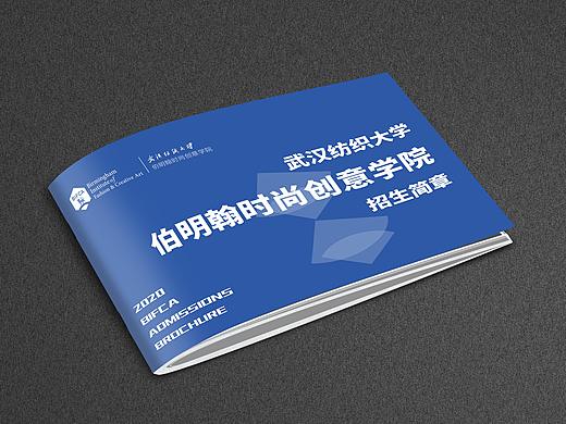 学院招生宣传项目设计