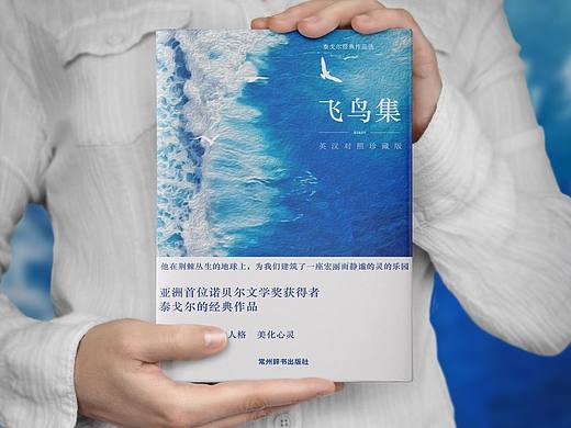 泰戈尔书籍设计