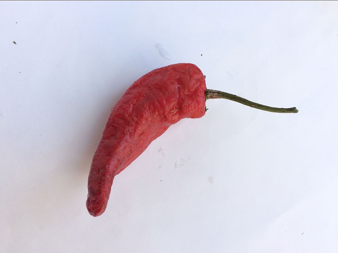 百草园到三味书屋