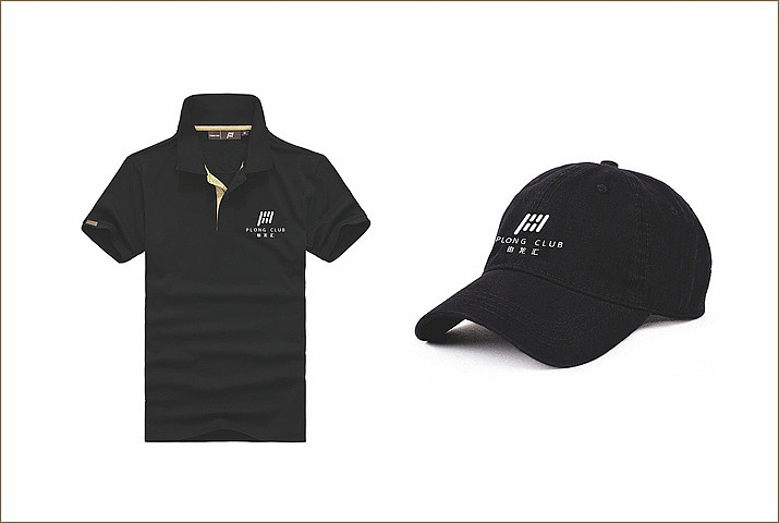 铂龙汇案例（峰尚品牌数字营销）