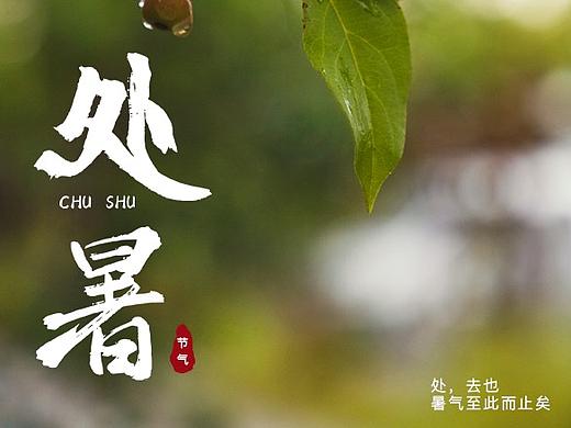 处暑（个人主页-ZNDcxNTgyMDA=） - 其他平面 - 站酷设计师夕狮原创素材 - 站酷ZCOOL