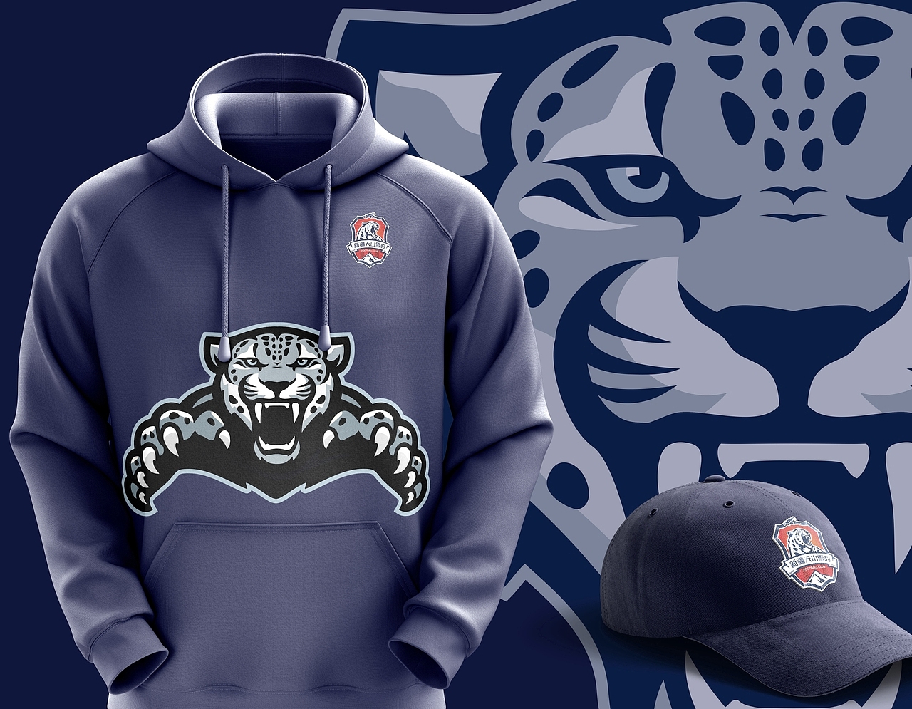 新疆天山雪豹足球队队徽设计