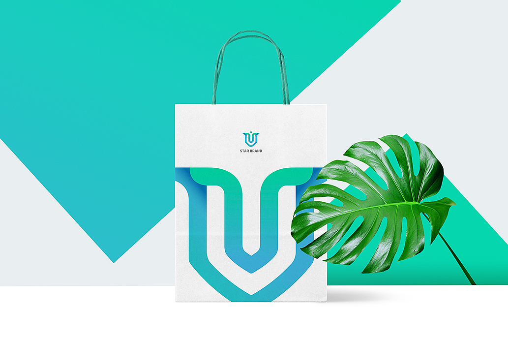 VI设计 | 医美行业品牌形象设计 by 心铭舍