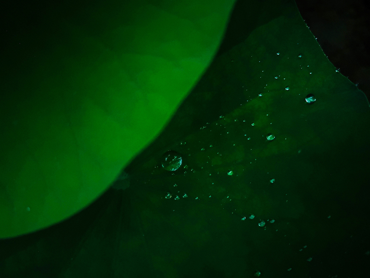 手机随拍~（图ZMTgxMTExNjA4） - 风光摄影 - 站酷设计师祁煜尘原创素材 - 站酷ZCOOL