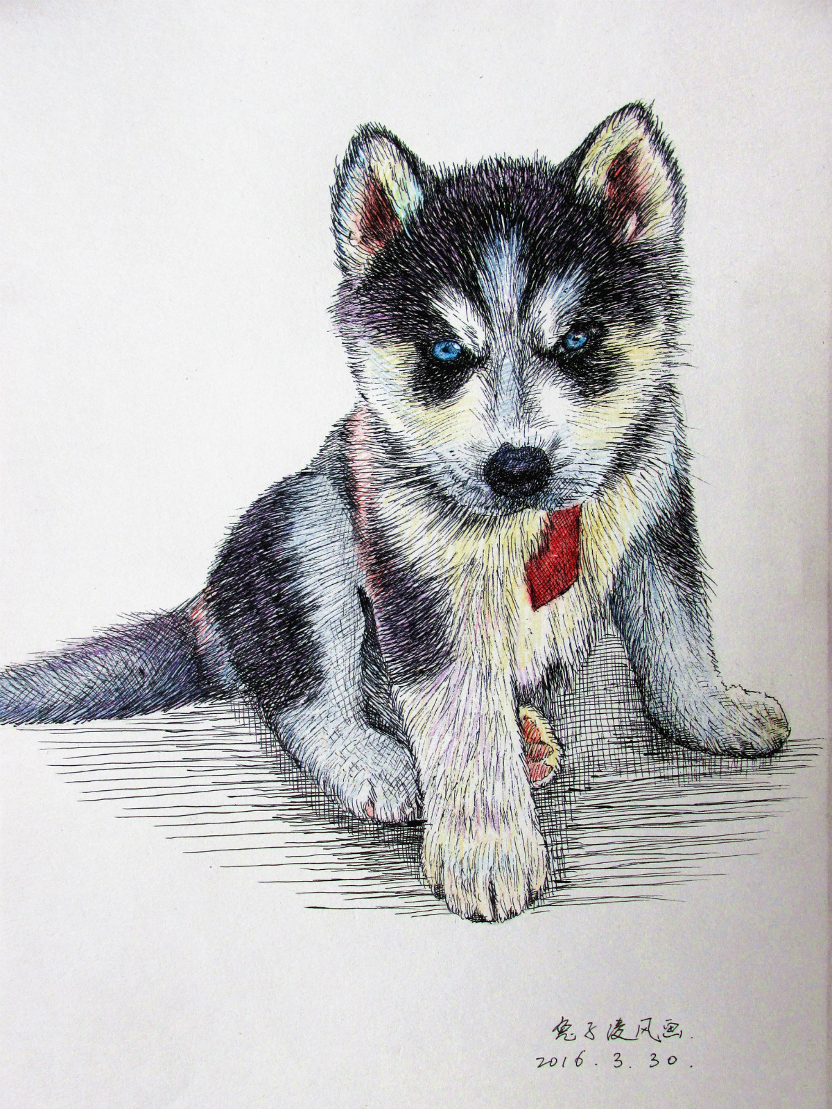 中性笔画愤怒的小狗~|纯艺术|素描|兔子凌风 - 原创作品 - 站酷