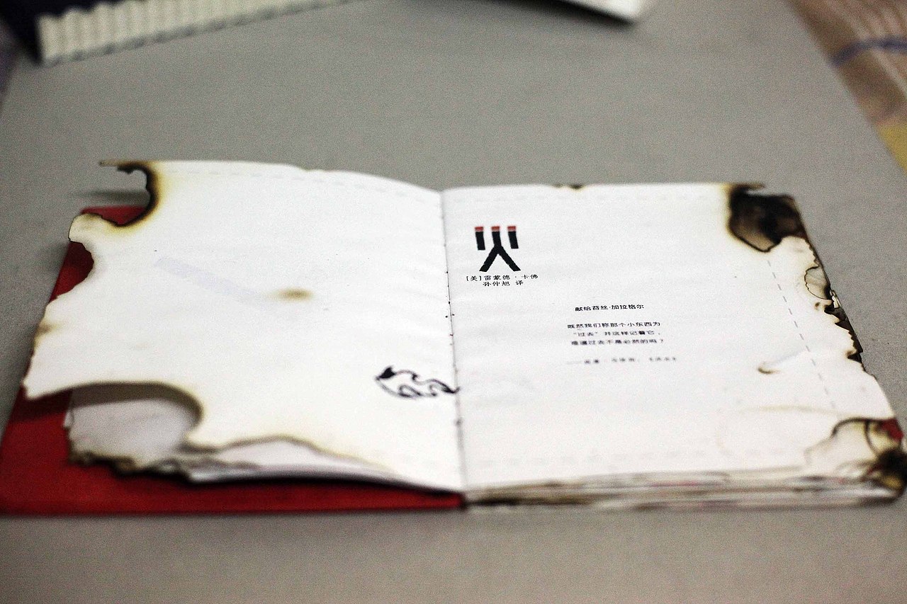 书籍装帧作业 《火》