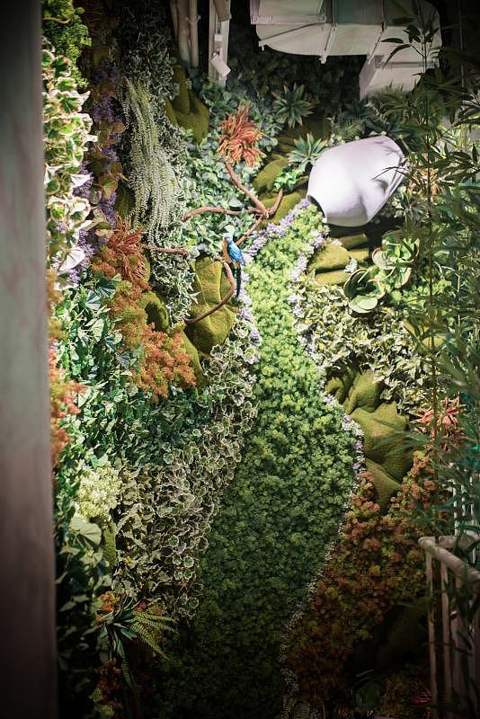 杨小宝捞烫实景图