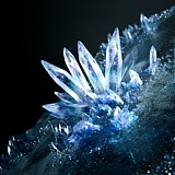 呵呵呵呵呵qz的头像