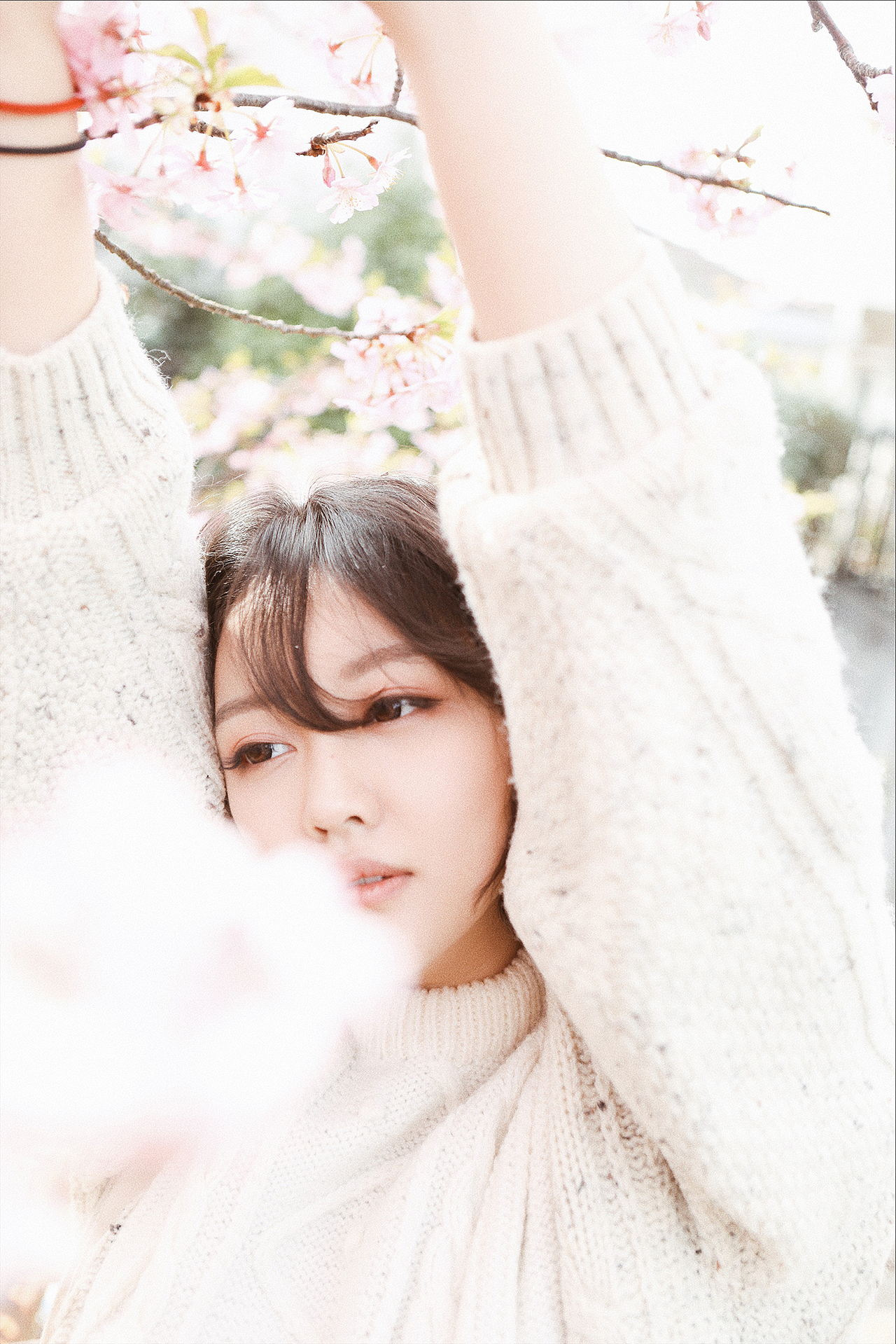 {海德娜娜}二月不期而遇的早樱