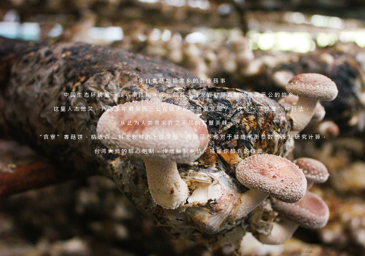 【香菇饼】食寮