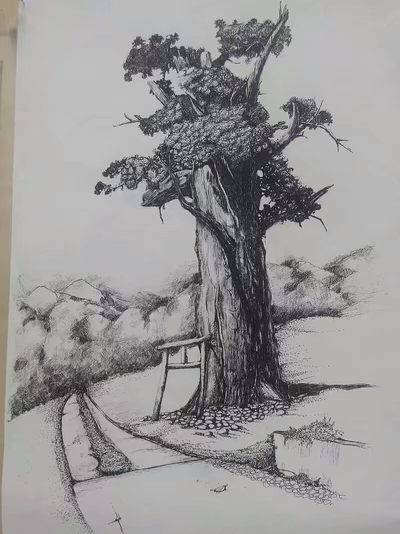 杨小龙签字笔画作