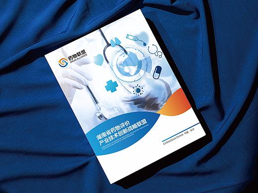 湖南药物联盟画册