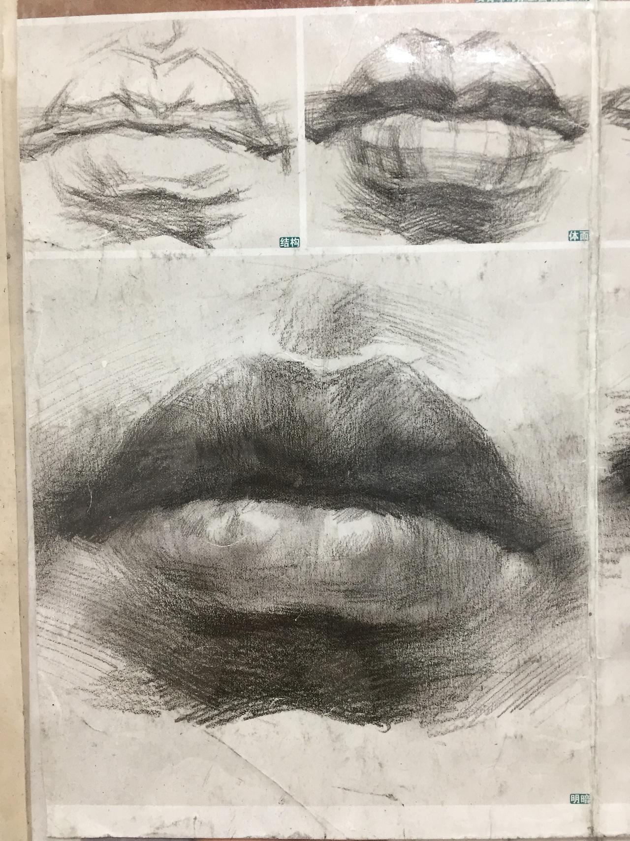 嘴巴|纯艺术|绘画|werdedeage - 临摹作品 - 站酷 (ZCOOL)