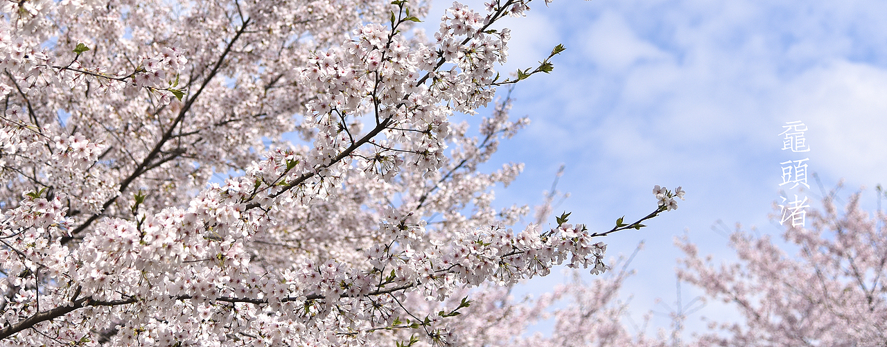 d750生活记录&随拍（图ZMTg5OTc0NDI0） - 风光摄影 - 站酷设计师甄闻好原创素材 - 站酷ZCOOL