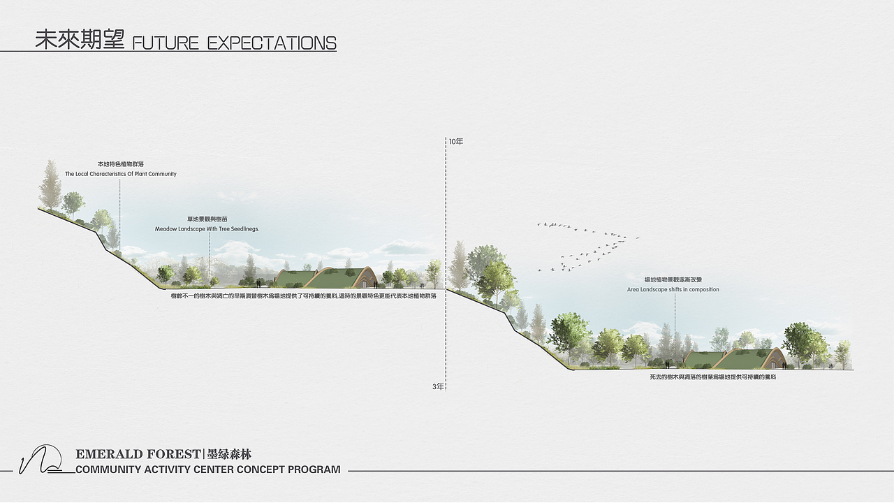 墨绿森林/ Emerald Forest