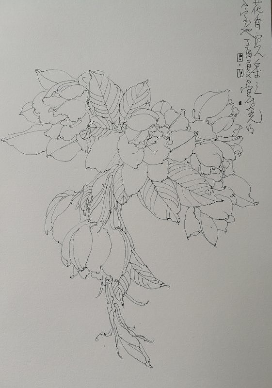 大光游记写生安徽（图ZODM0MzI5NDA=） - 绘画 - 站酷设计师大光明王原创素材 - 站酷ZCOOL
