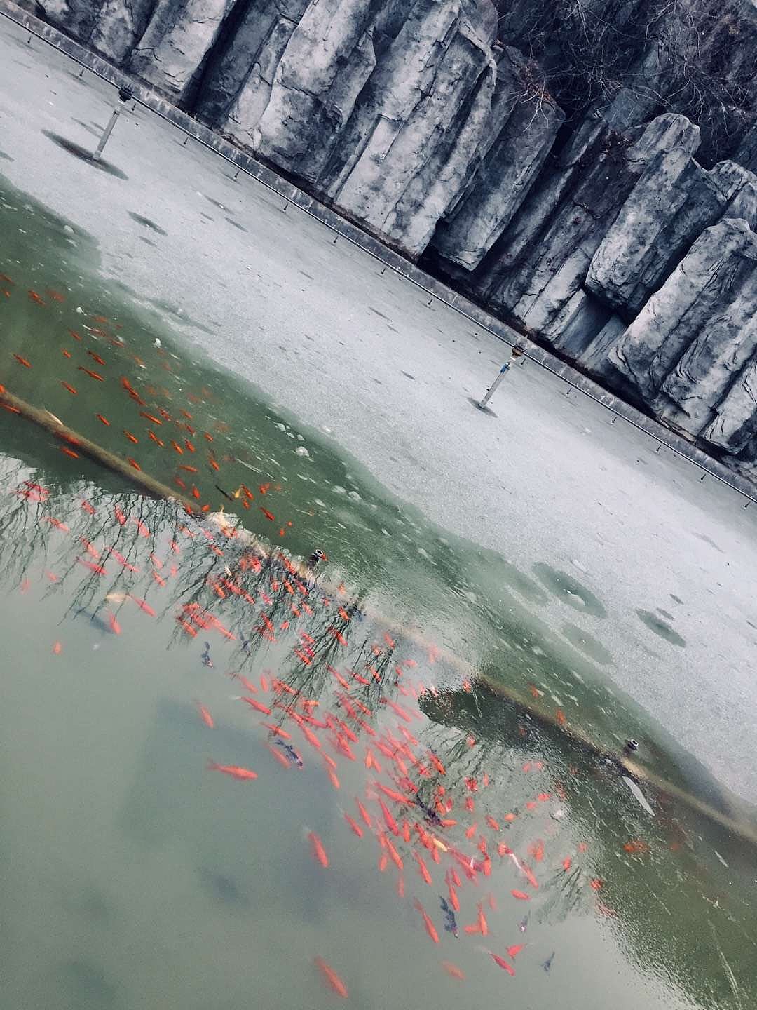 我眼中的母校（图ZMTY5NzI4ODc2） - 风光摄影 - 站酷设计师设计狗的日常原创素材 - 站酷ZCOOL