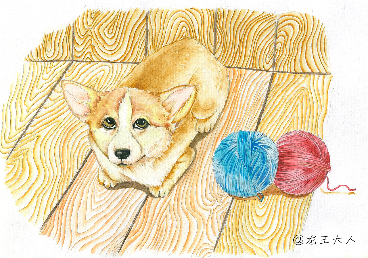 萌萌哒小柯基|插画|创作习作|金龙鱼jl_原创作品-站酷zcool