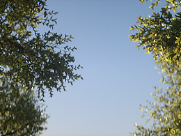 【毕业设计】吹响，上低音号