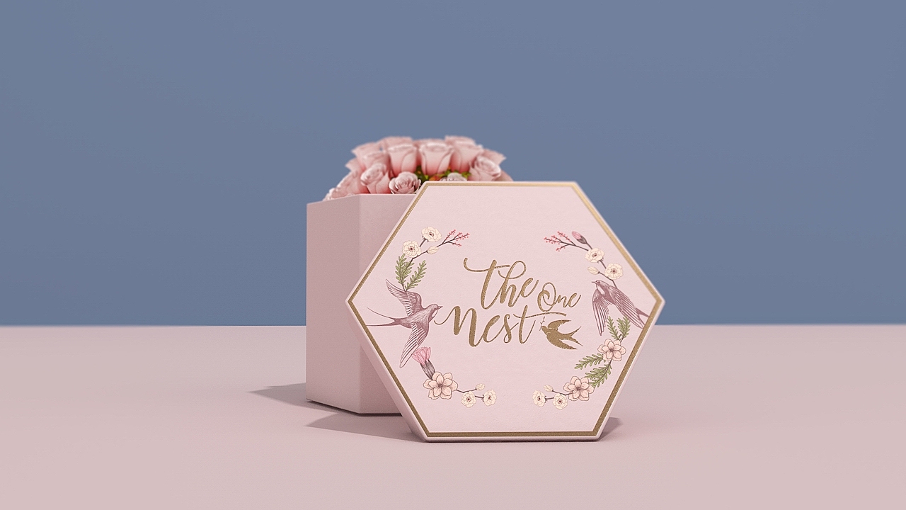 温哥华The one nest品牌设计（图ZNzQwNzY2MDA=） - 包装 - 站酷设计师你好大海品牌设计原创素材 - 站酷ZCOOL