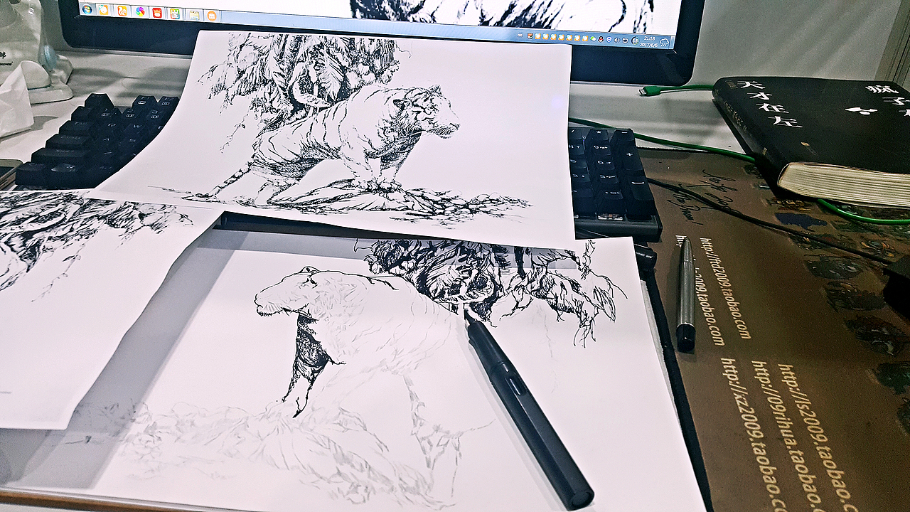 动物钢笔画手绘临摹