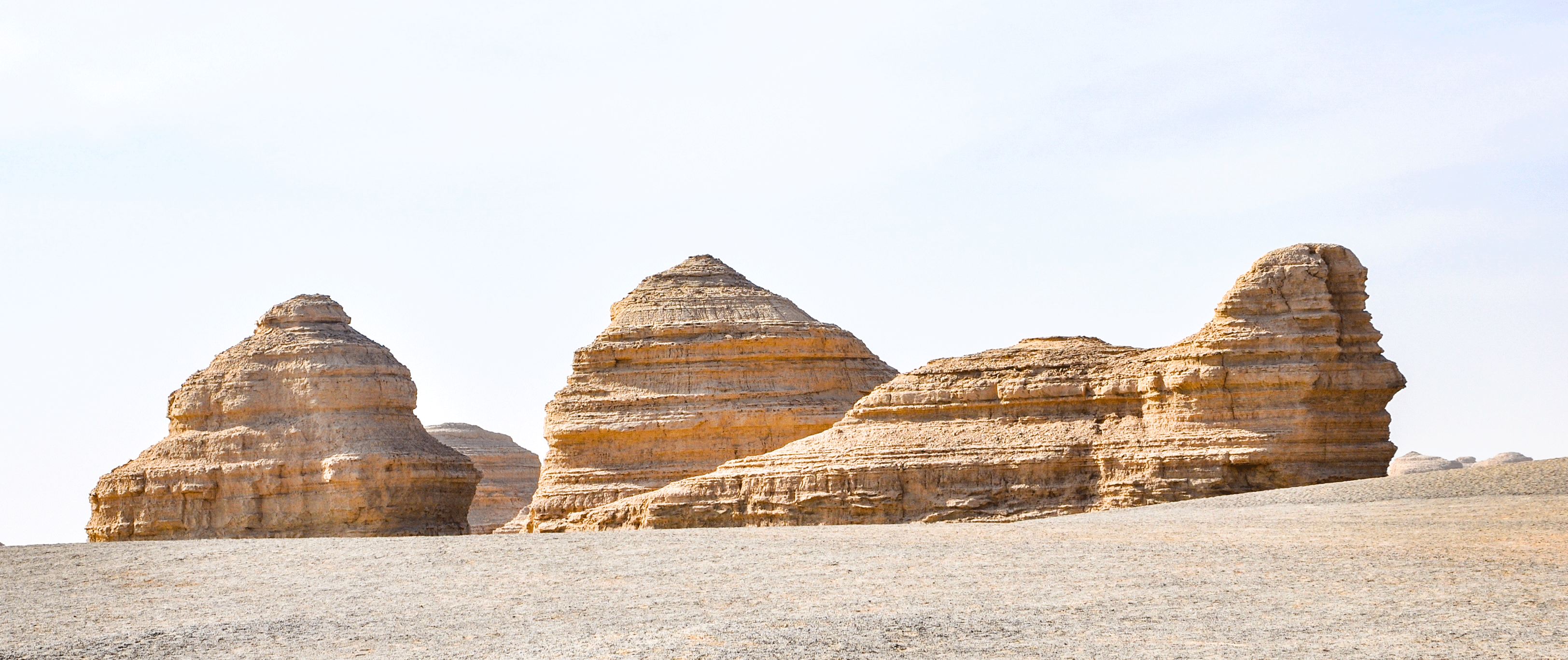 会上树的金鱼的个人主页（封面预览） - 主页封面设置 - 站酷设计师会上树的金鱼原创素材 - 站酷ZCOOL