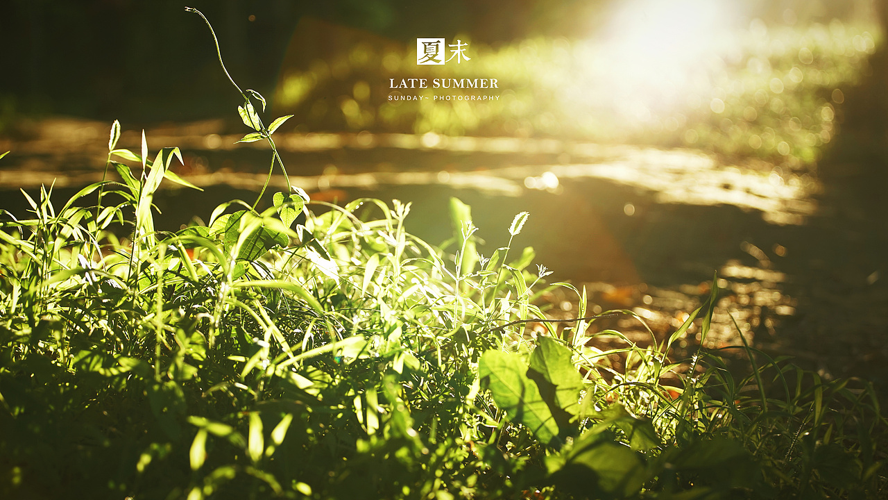 夏末秋初，荷塘印象（图ZODgwMzY3MjA=） - 风光摄影 - 站酷设计师sunday00love原创素材 - 站酷ZCOOL