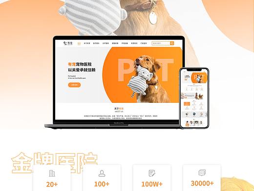 企业网站