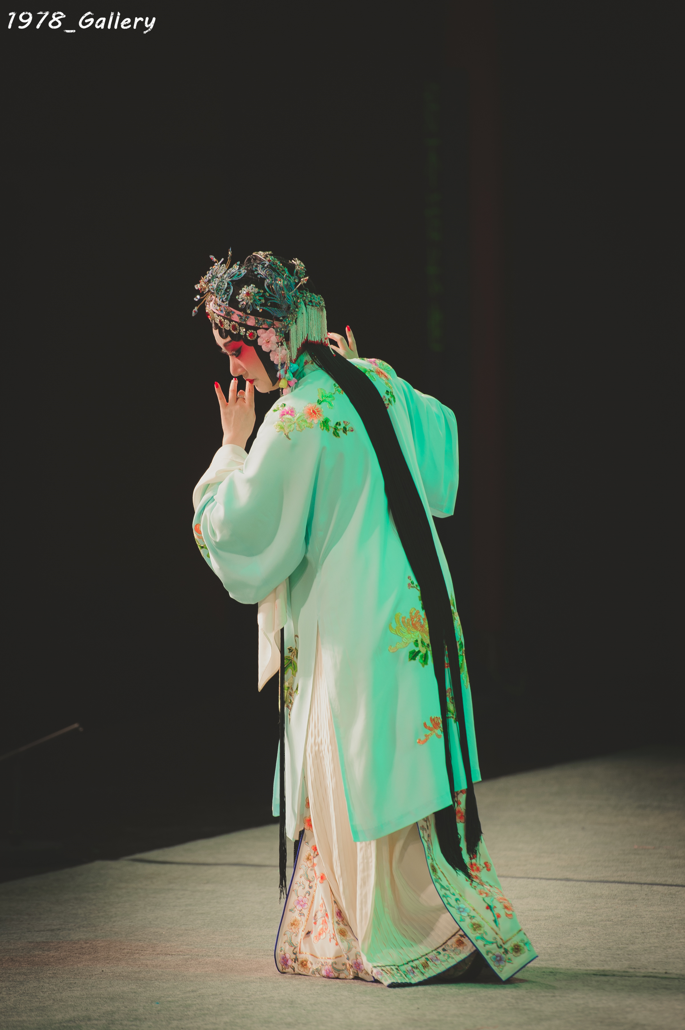 昆曲精华-临川四梦之《牡丹亭》