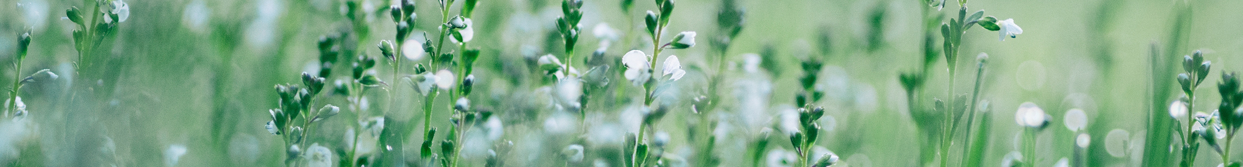 錦瑟show的個(gè)人主頁（封面預(yù)覽） - 主頁封面設(shè)置 - 站酷設(shè)計(jì)師錦瑟show原創(chuàng)素材 - 站酷ZCOOL