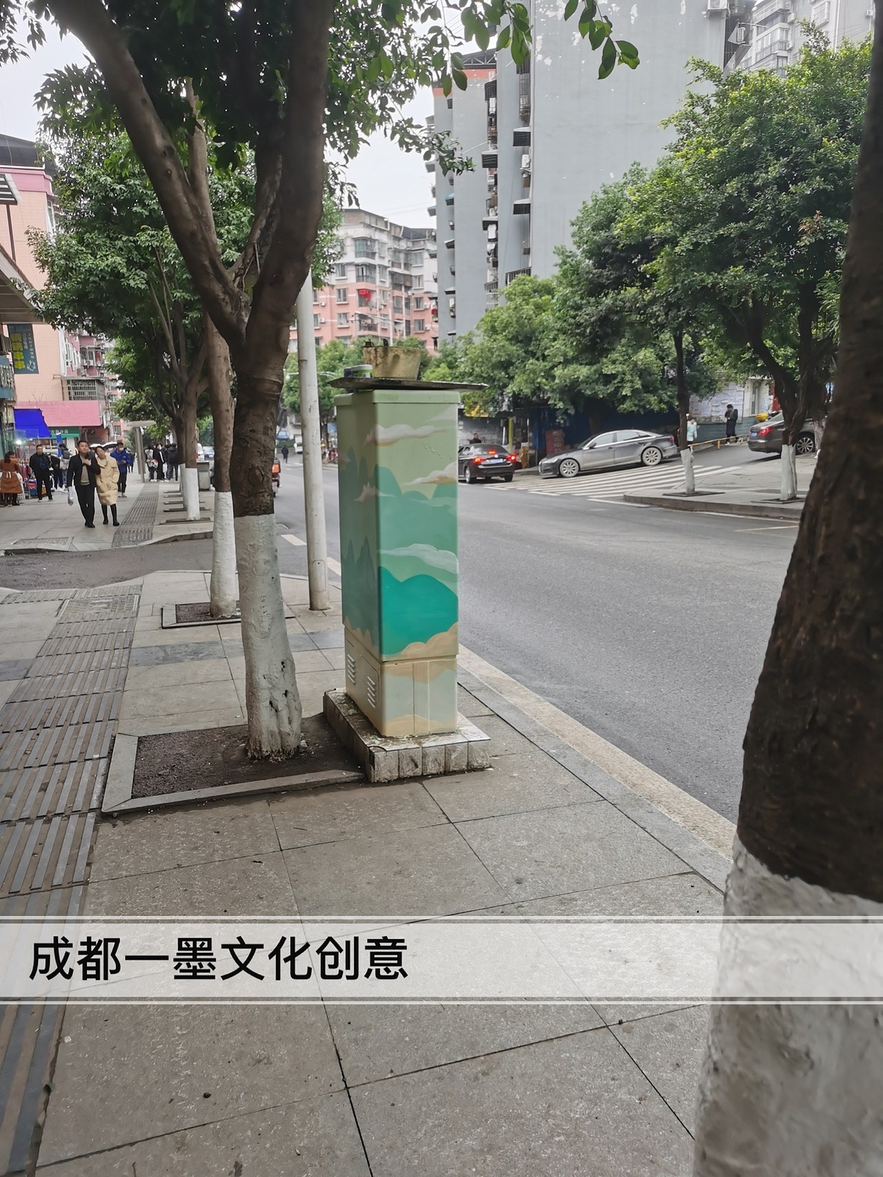 *电箱墙绘,成都墙绘,成都彩绘