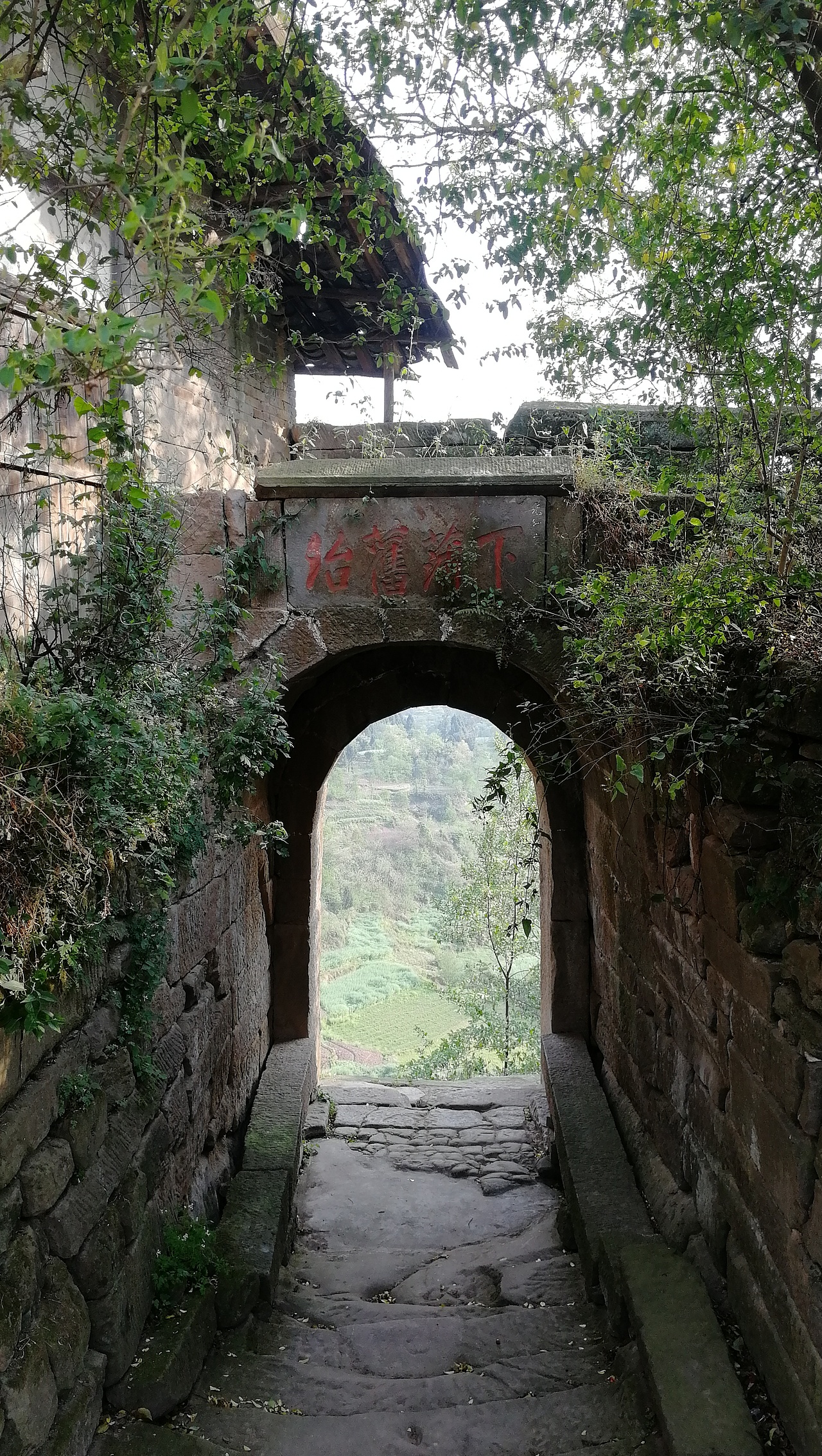 大成寨原名叫大山林位于四川省达州市宣汉县大城镇