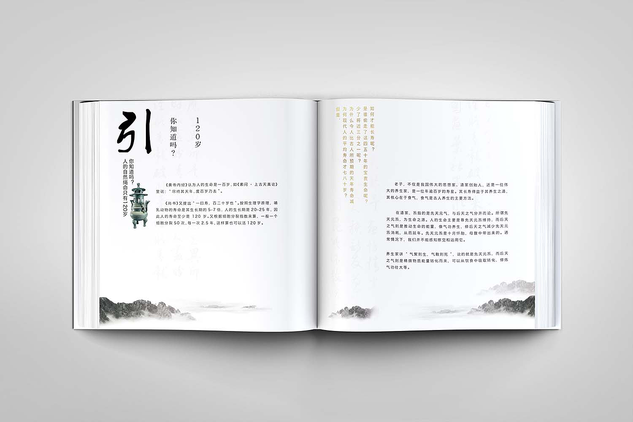 炁物元养生画册