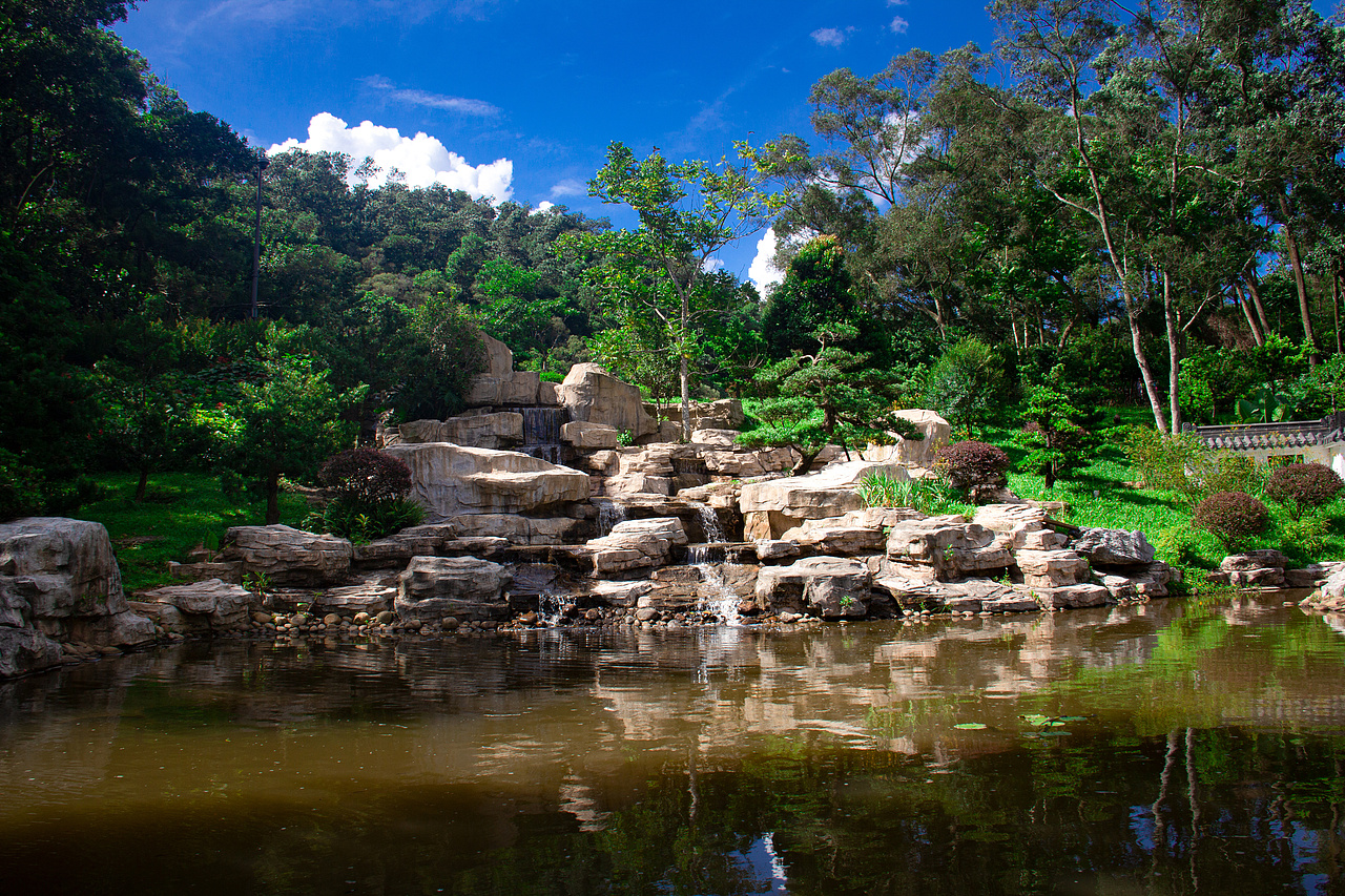 个人室外摄影深圳仙湖植物园