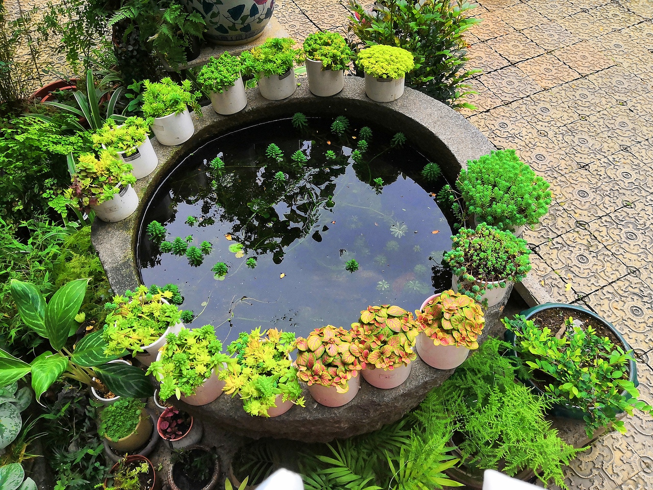 余荫山房 同游（图ZMTYyMzQzNjI4） - 人文/纪实摄影 - 站酷设计师个银两岁星原创素材 - 站酷ZCOOL