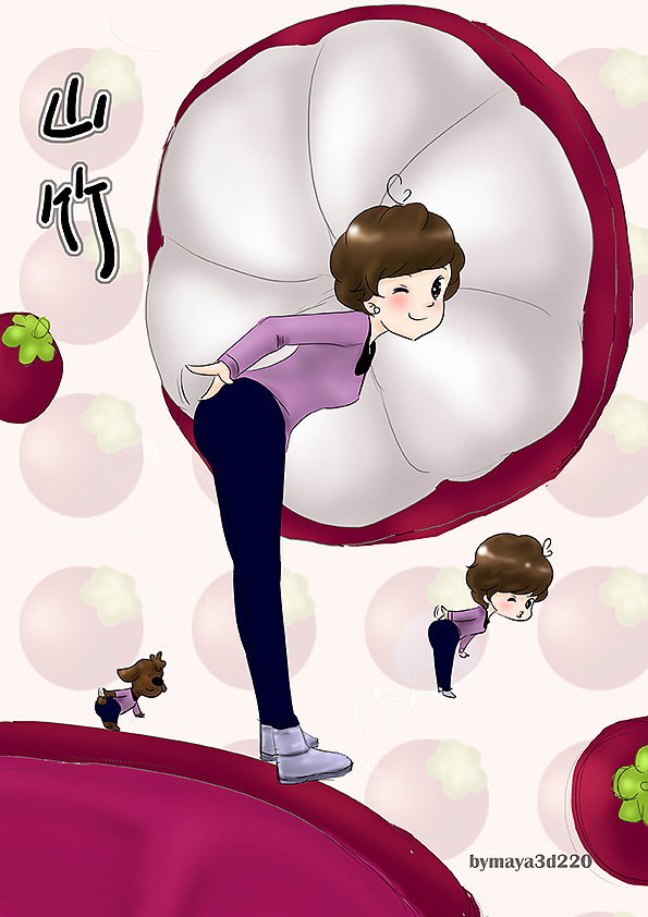 水果主题系列-山竹