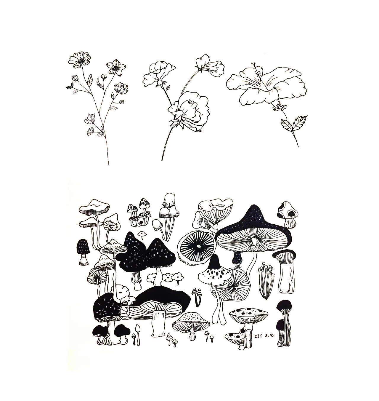 花卉线稿（图ZMTQ3MDA4Nzg0） - 创作习作 - 站酷设计师八月微凉原创素材 - 站酷ZCOOL