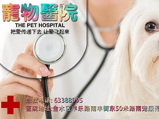 宠物就诊banner