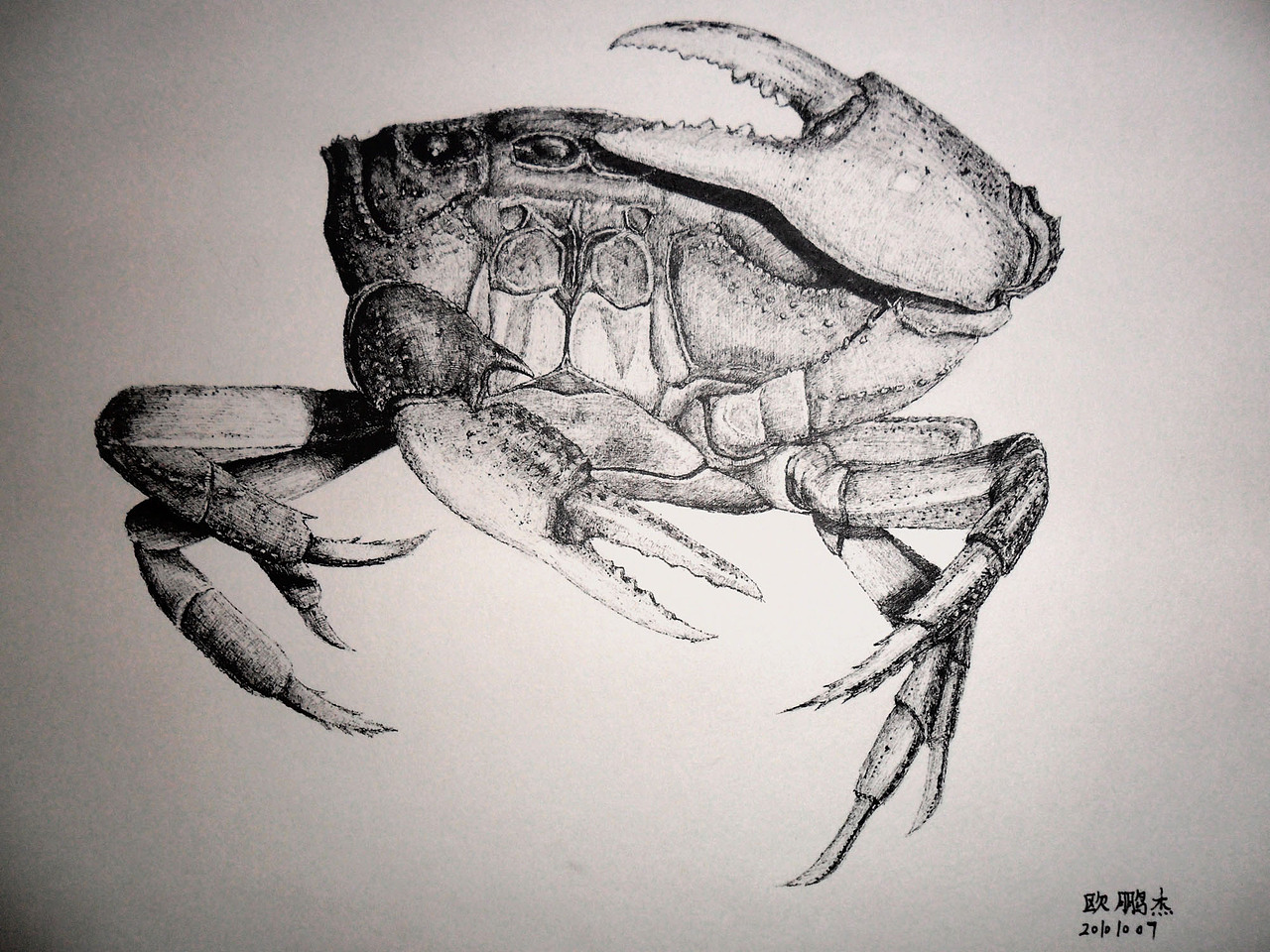 继续刻画,黑白钢笔画.