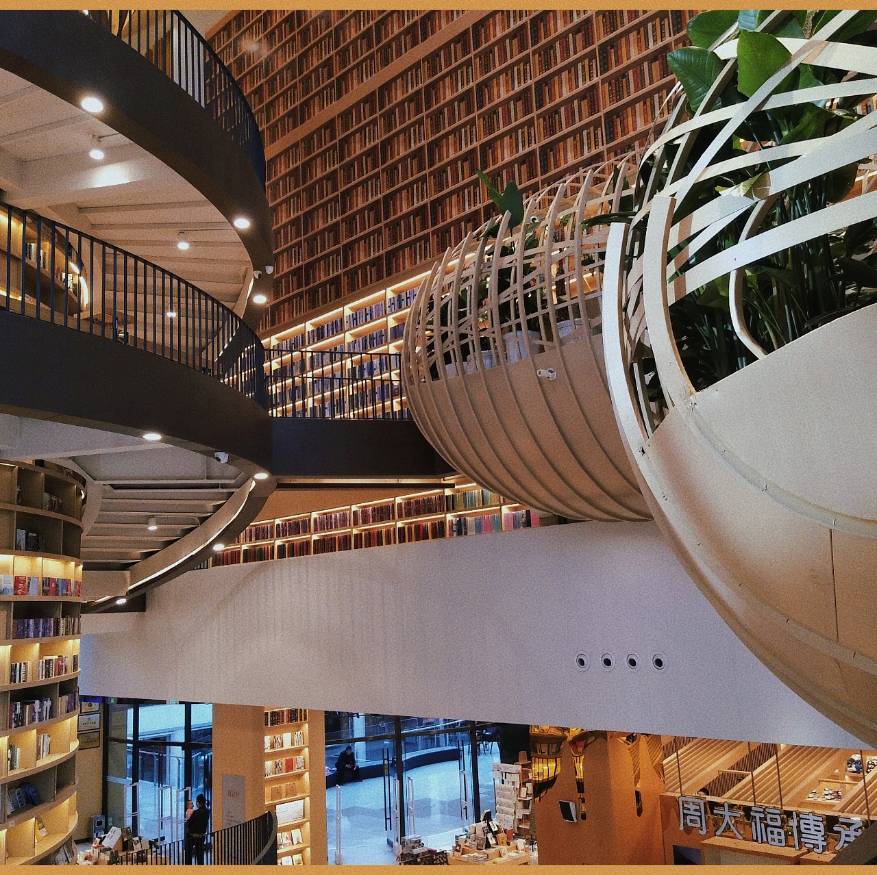 书店|摄影|环境/建筑摄影|z03114162 - 原创作品 - 站酷 (zcool)